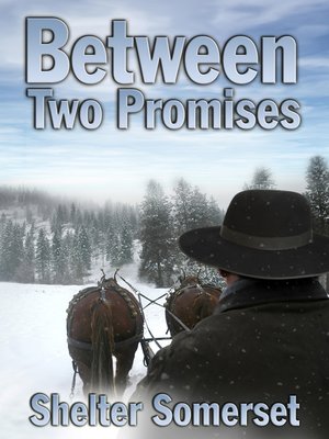 cover image of Between Two Promises